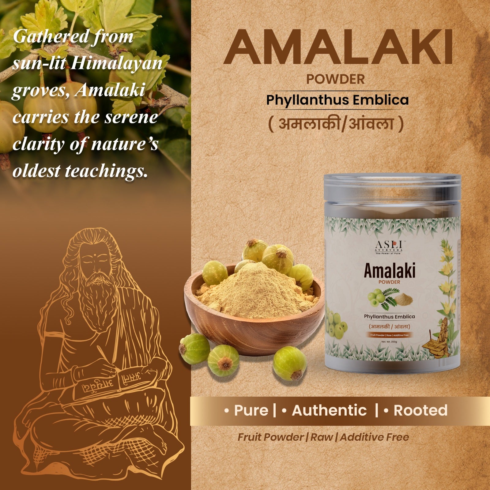 amalaki-showcase