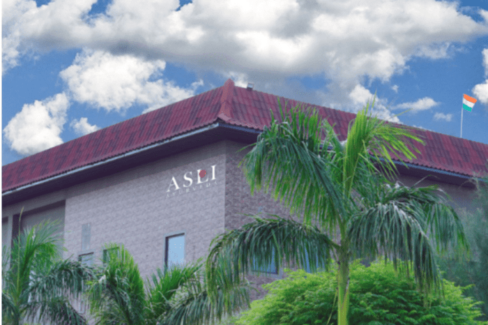 What makes Asli Ayurveda different?