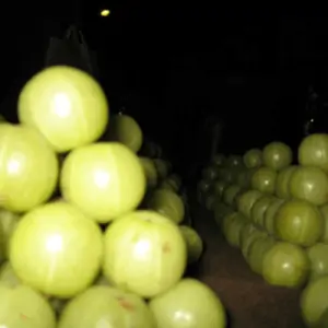 Amla