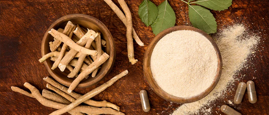 Ayurvedic Properties of Ashwagandha